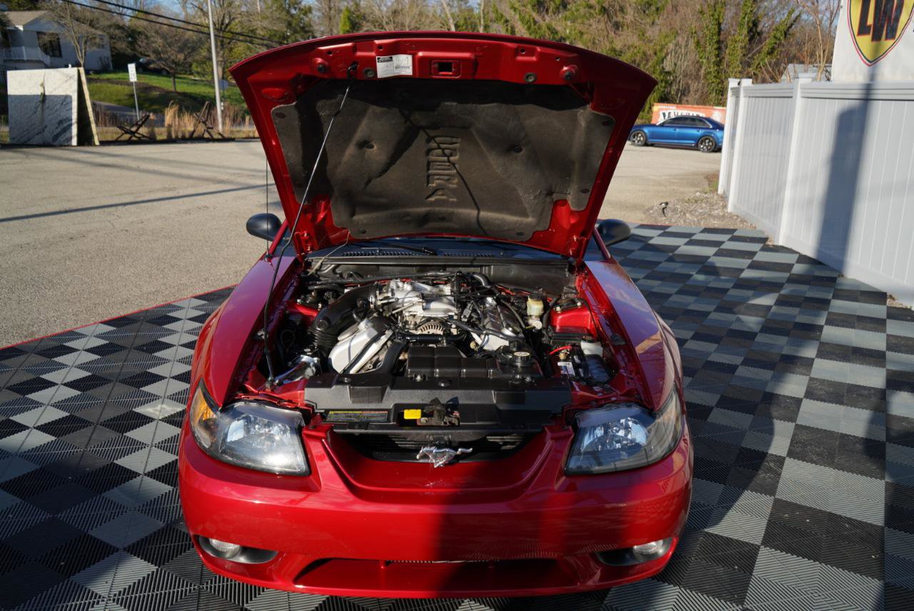 Used 2001 Ford Mustang Cobra image 61
