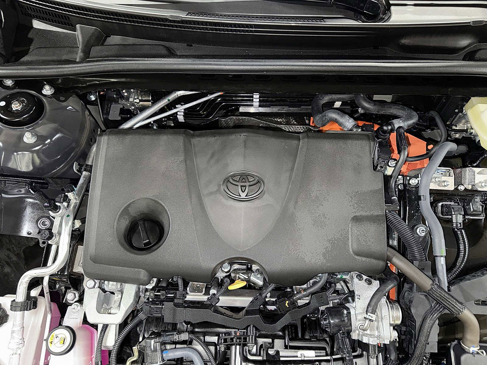 Used 2025 Toyota Camry XLE w/ Premium Plus Package image 12