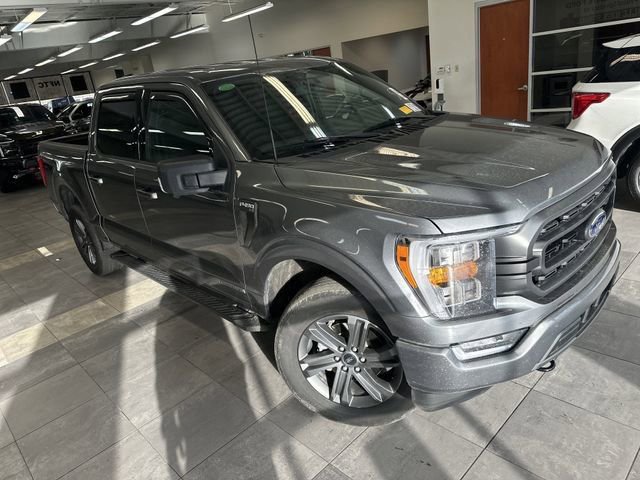 Used 2023 Ford F150 XLT w/ Equipment Group 302A High AWD/4WD image 9