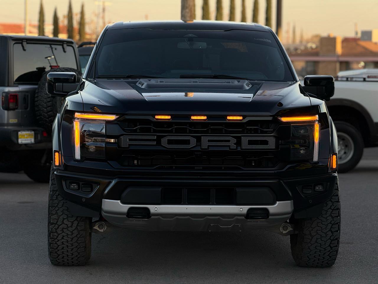 Used 2025 Ford F150 Raptor image 4