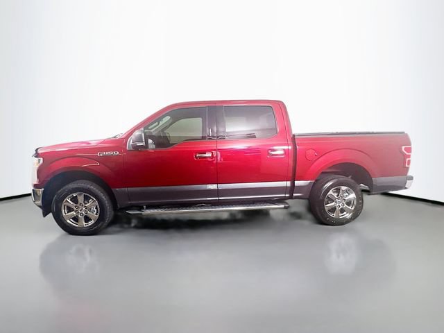 Used 2019 Ford F150 XLT w/ Equipment Group 302A Luxury RWD image 6