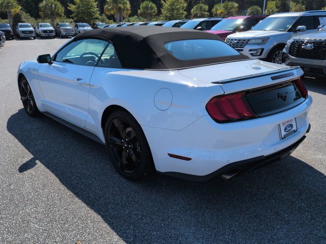 Used 2023 Ford Mustang Premium w/ Equipment Group 201A RWD image 6