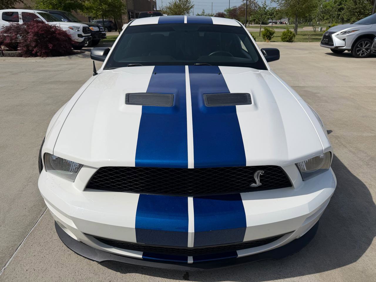 Used 2008 Ford Mustang Shelby GT500 image 2