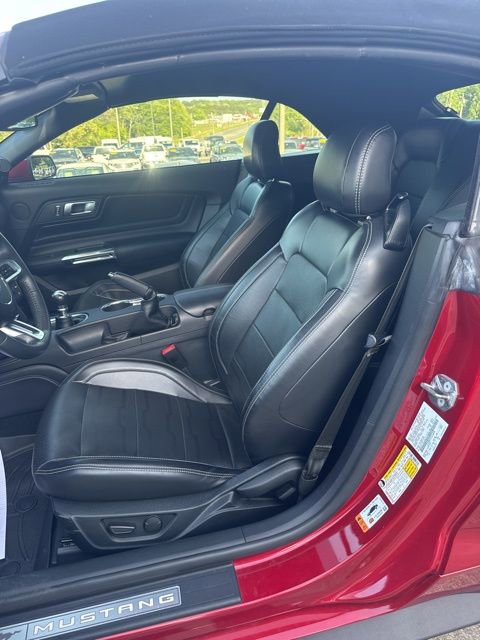 Used 2020 Ford Mustang GT Premium w/ Equipment Group 401A RWD image 9