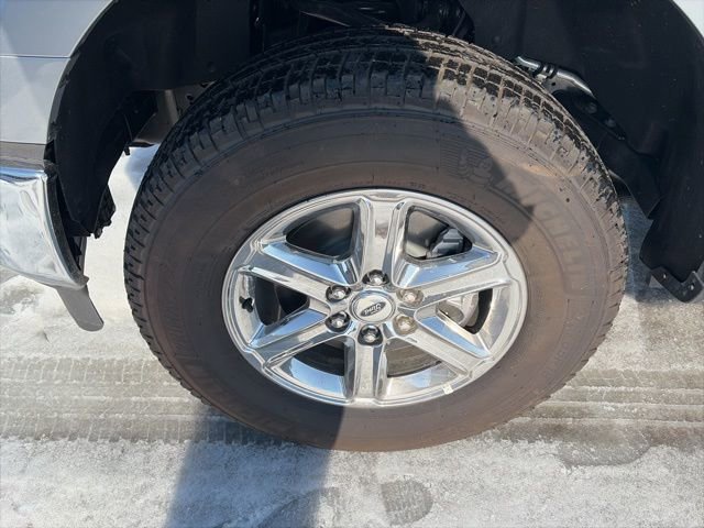 New 2025 Ford F150 XLT w/ Equipment Group 302A MID image 10