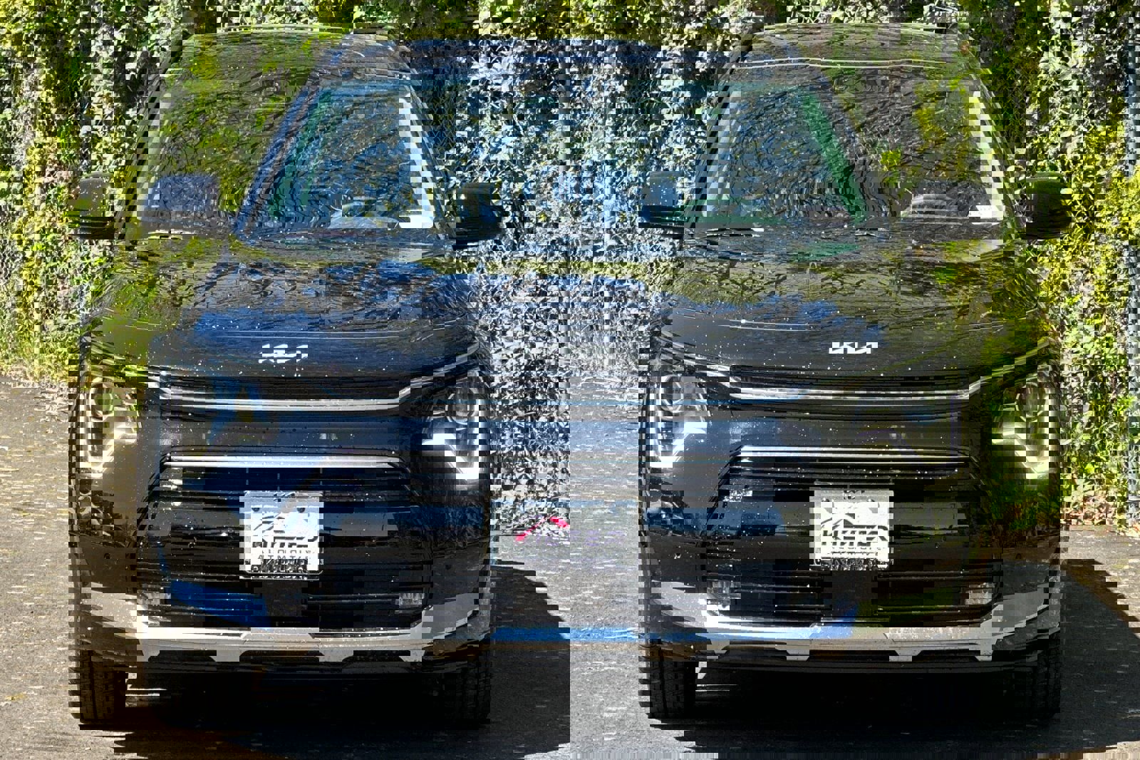 New 2025 Kia Niro SX image 5