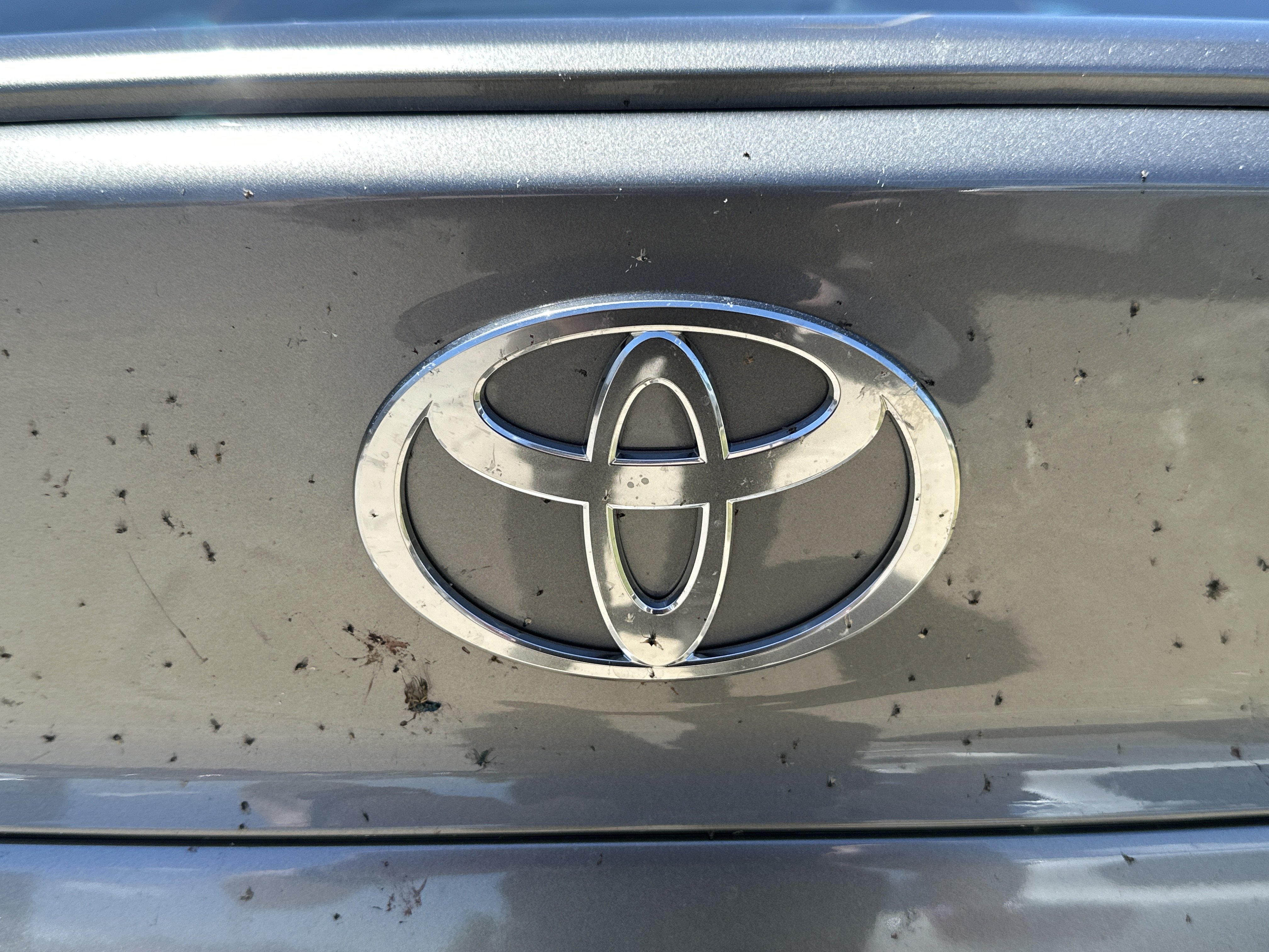 New 2026 Toyota Camry SE w/ Convenience Package FWD image 29