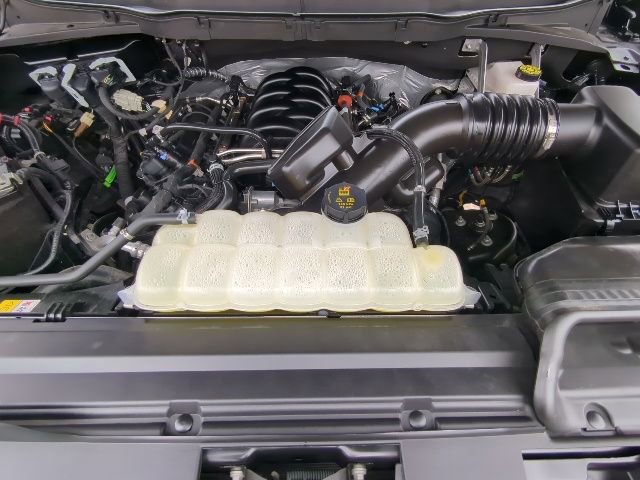 Used 2025 Ford F150 XLT w/ Equipment Group 301A Standard image 28