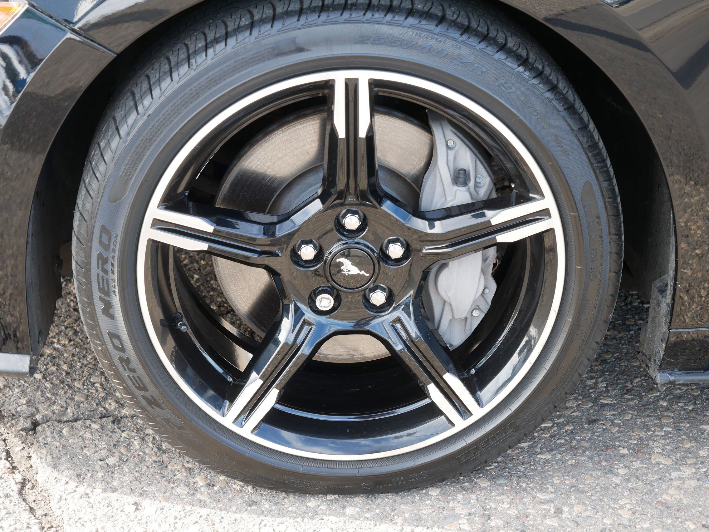 Used 2019 Ford Mustang GT Premium w/ Equipment Group 401A image 15