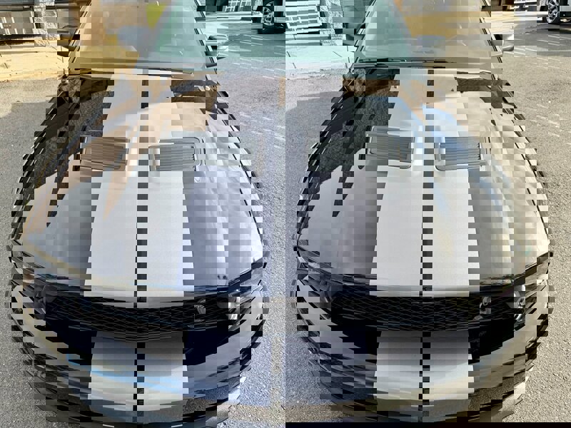 Used 2007 Ford Mustang Shelby GT500 image 12