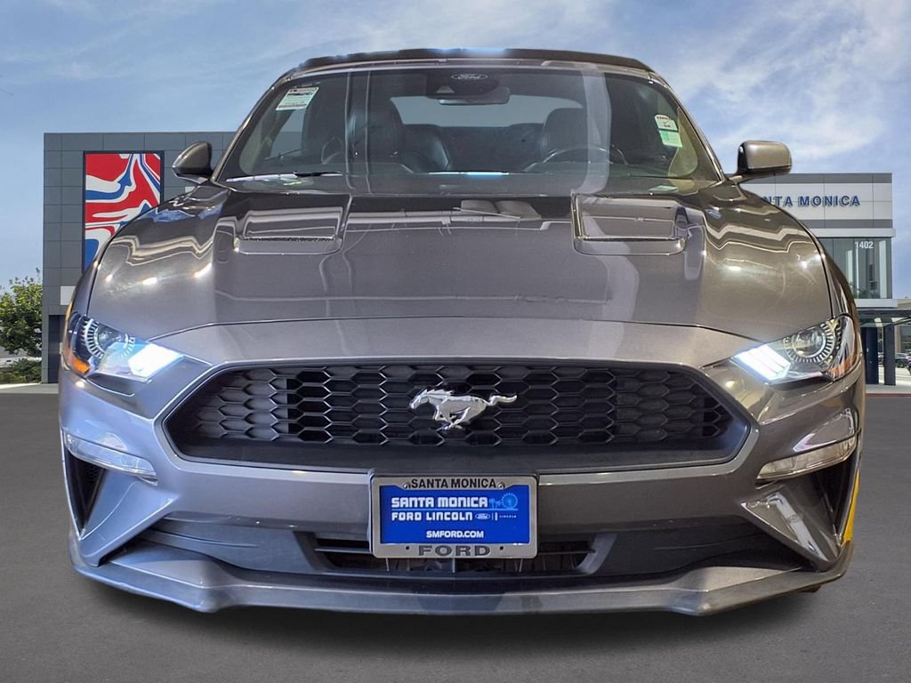 Used 2023 Ford Mustang Premium w/ Equipment Group 201A RWD image 2