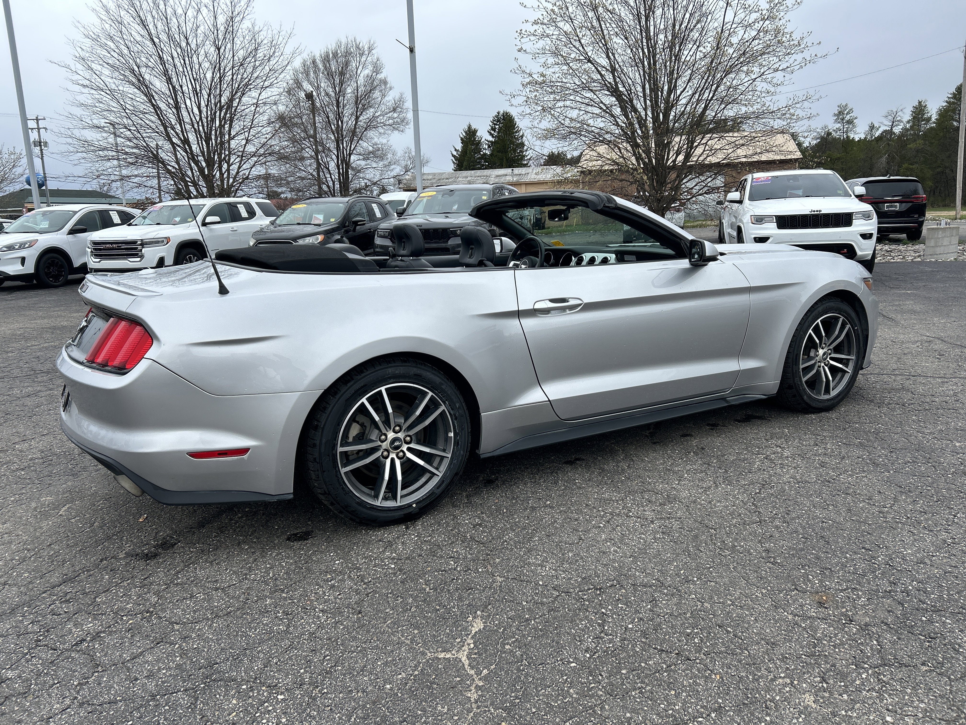 Used 2017 Ford Mustang Premium RWD image 6