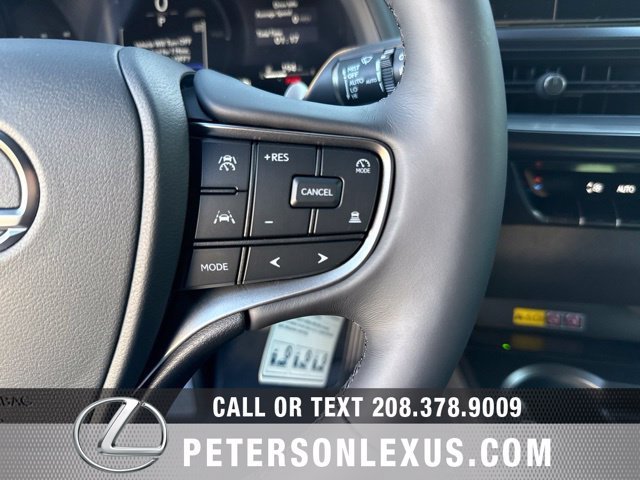 New 2026 Lexus UX 300h AWD w/ Cold Area Package image 26