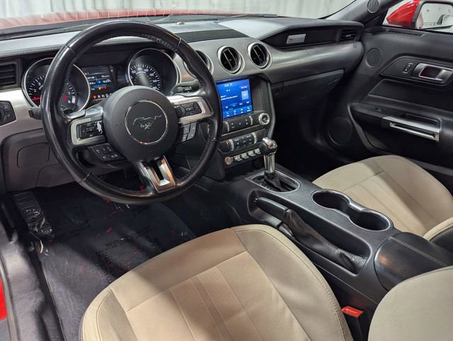 Used 2021 Ford Mustang GT w/ Equipment Group 301A RWD image 6