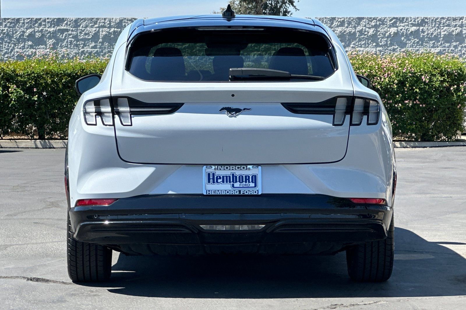 Used 2021 Ford Mustang Mach-E Premium image 5