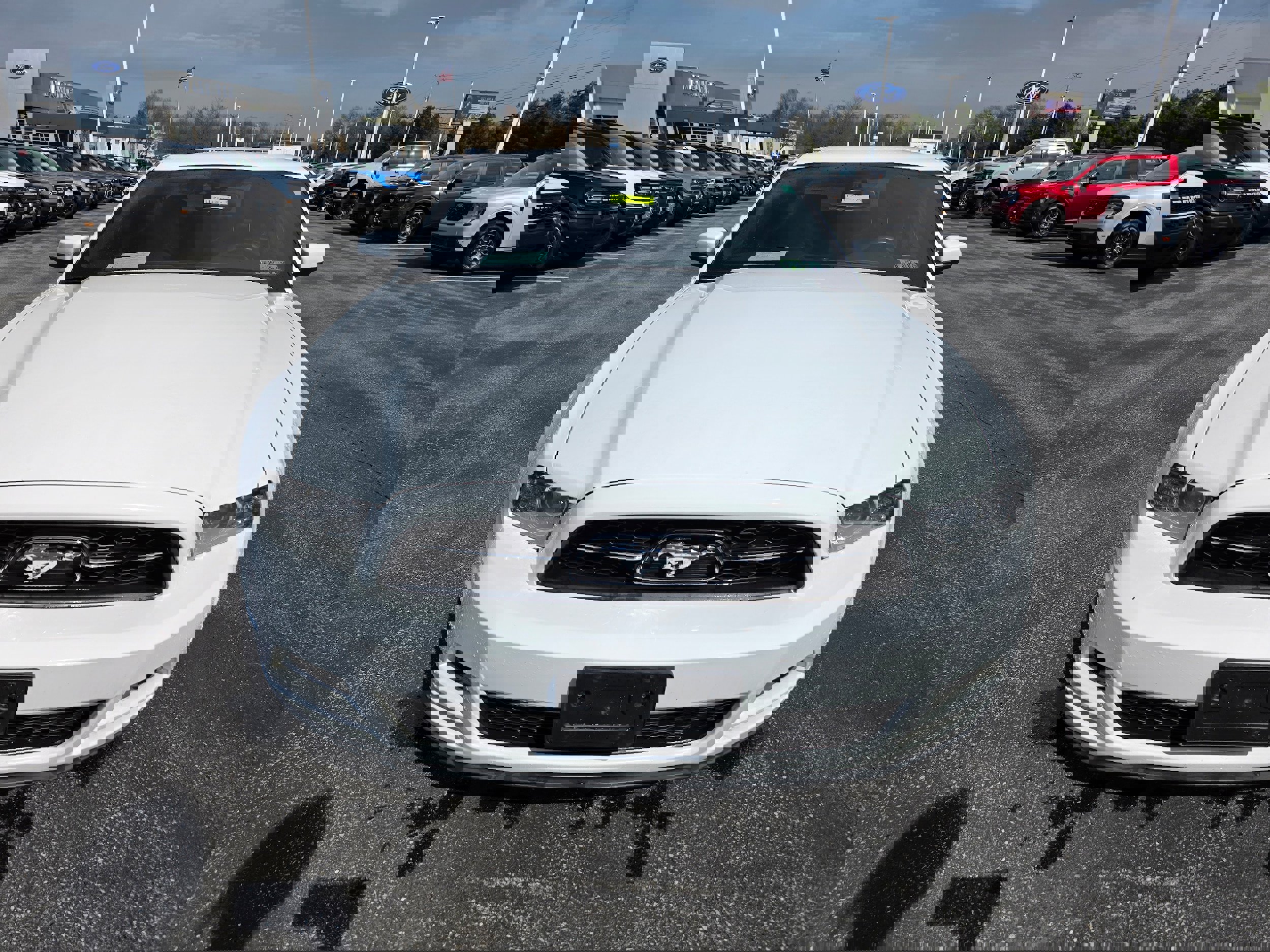 Used 2014 Ford Mustang Premium w/ Equipment Group 202A image 8