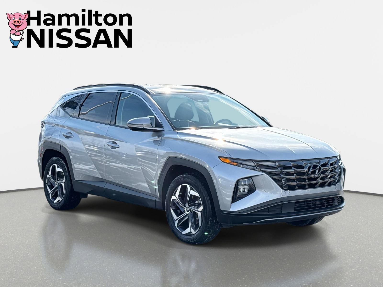 Used 2024 Hyundai Tucson Limited image 1
