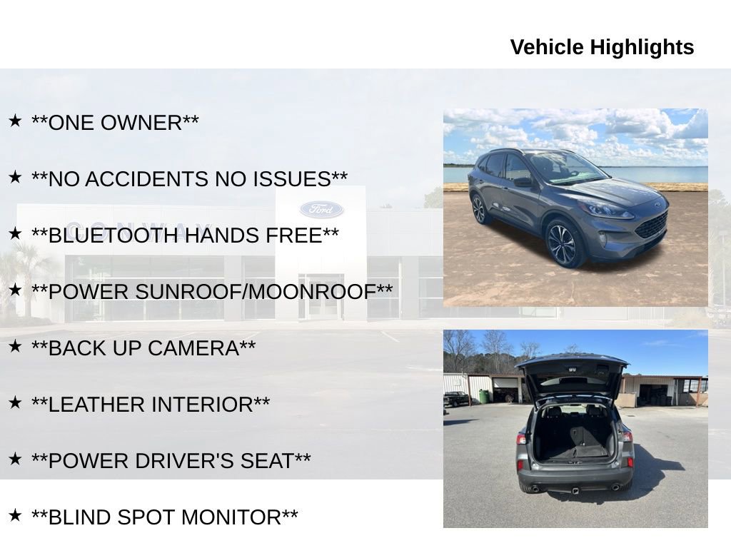 Used 2022 Ford Escape SEL w/ SEL Stealth AWD Package image 6