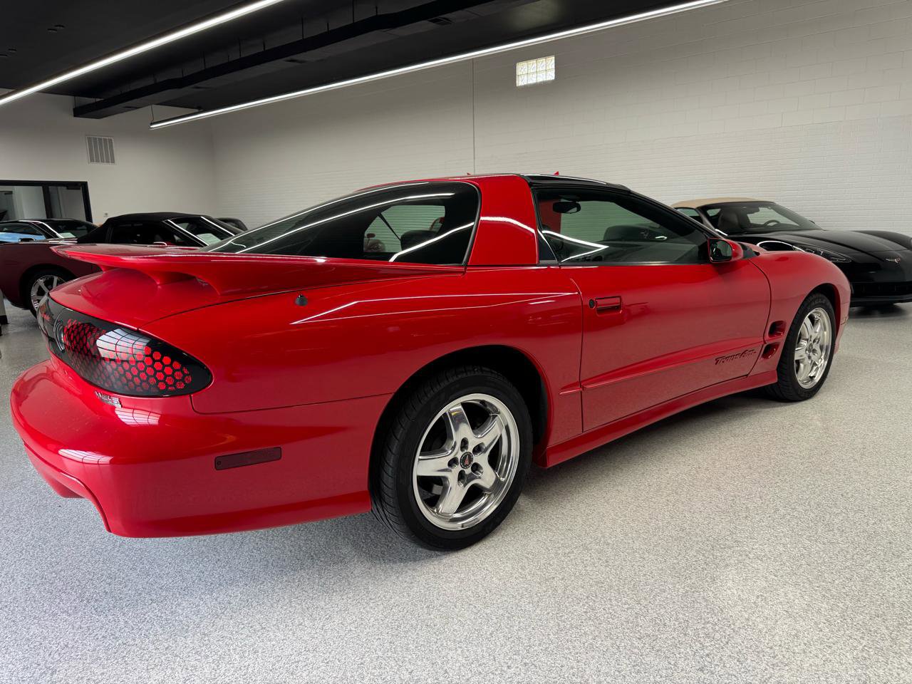 Used 2002 Pontiac Firebird Trans Am RWD image 4