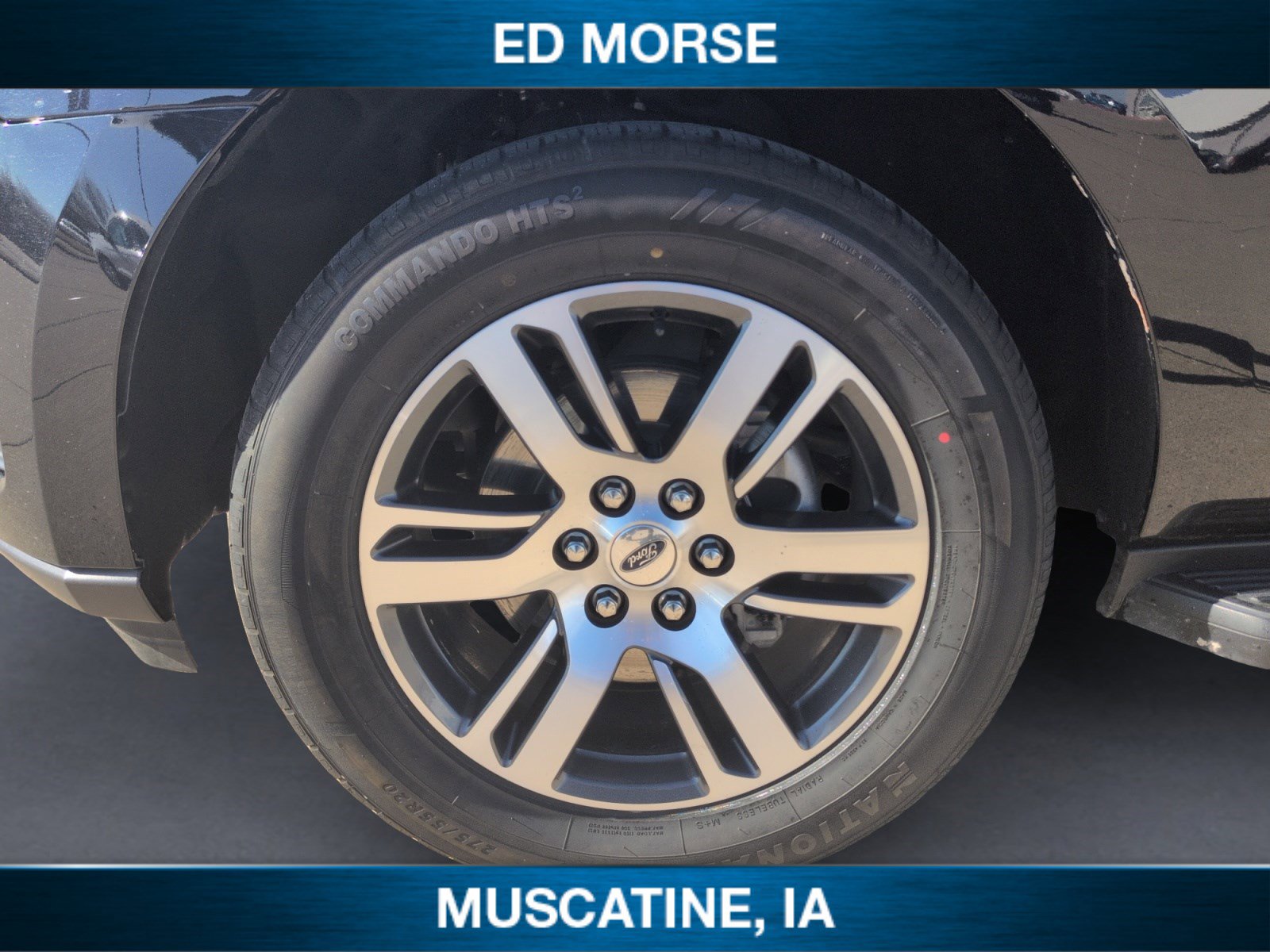 Certified 2024 Ford Expedition Limited image 14