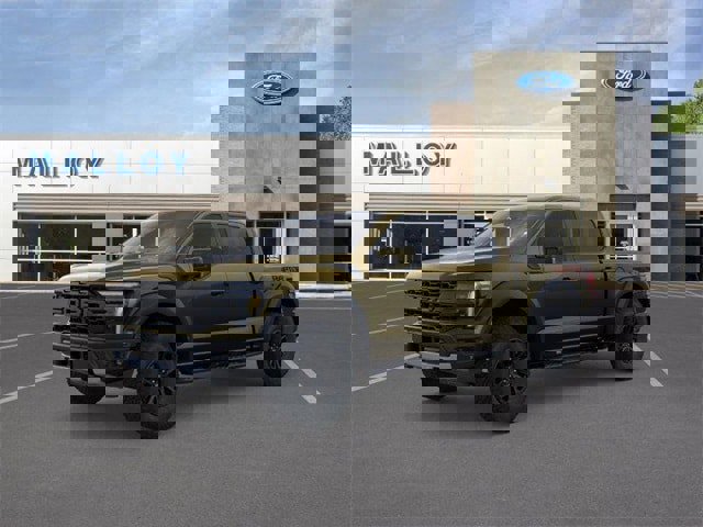 New 2025 Ford F150 Raptor image 25