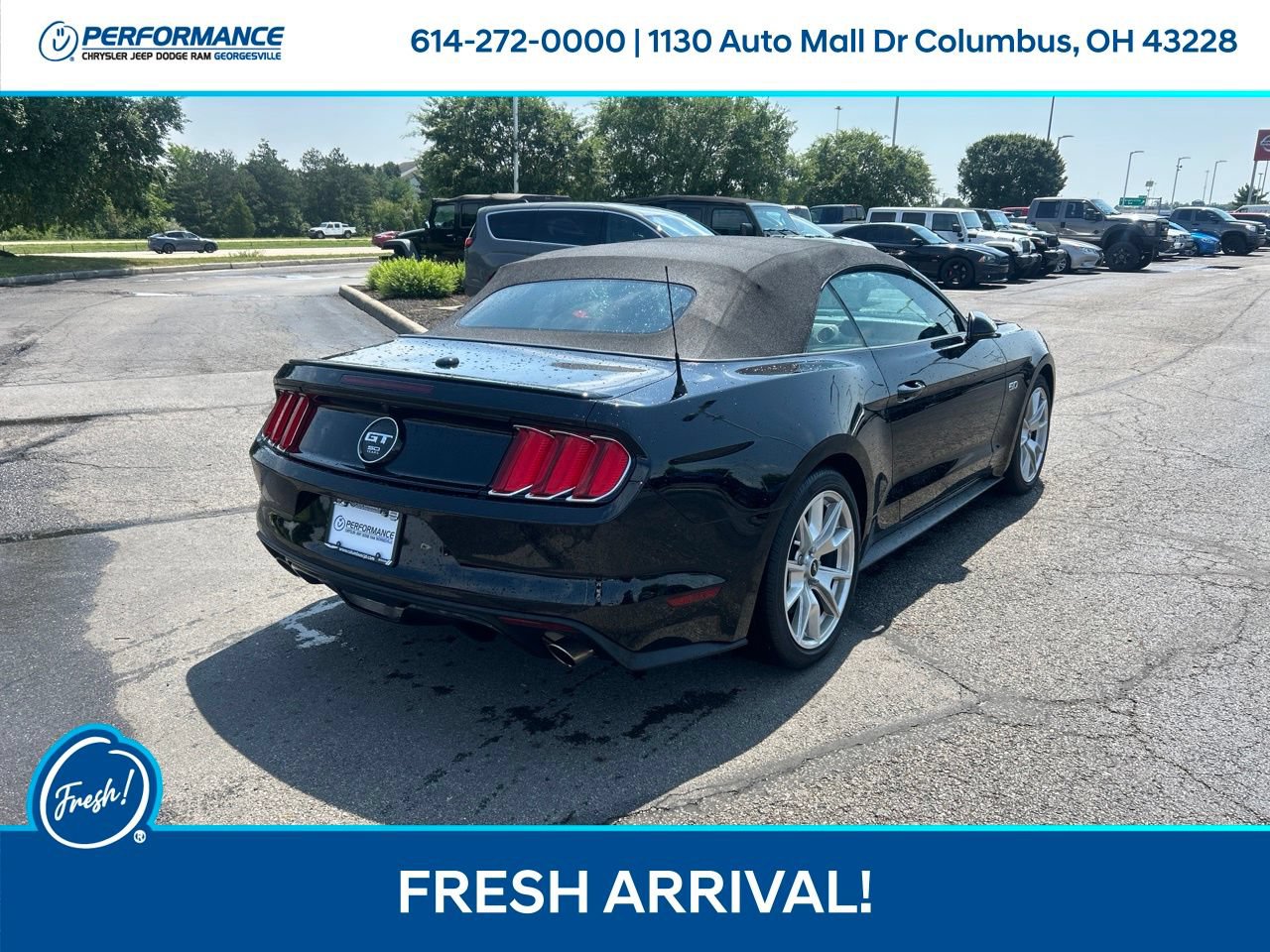 Used 2015 Ford Mustang GT Premium w/ Equipment Group 401A RWD image 4