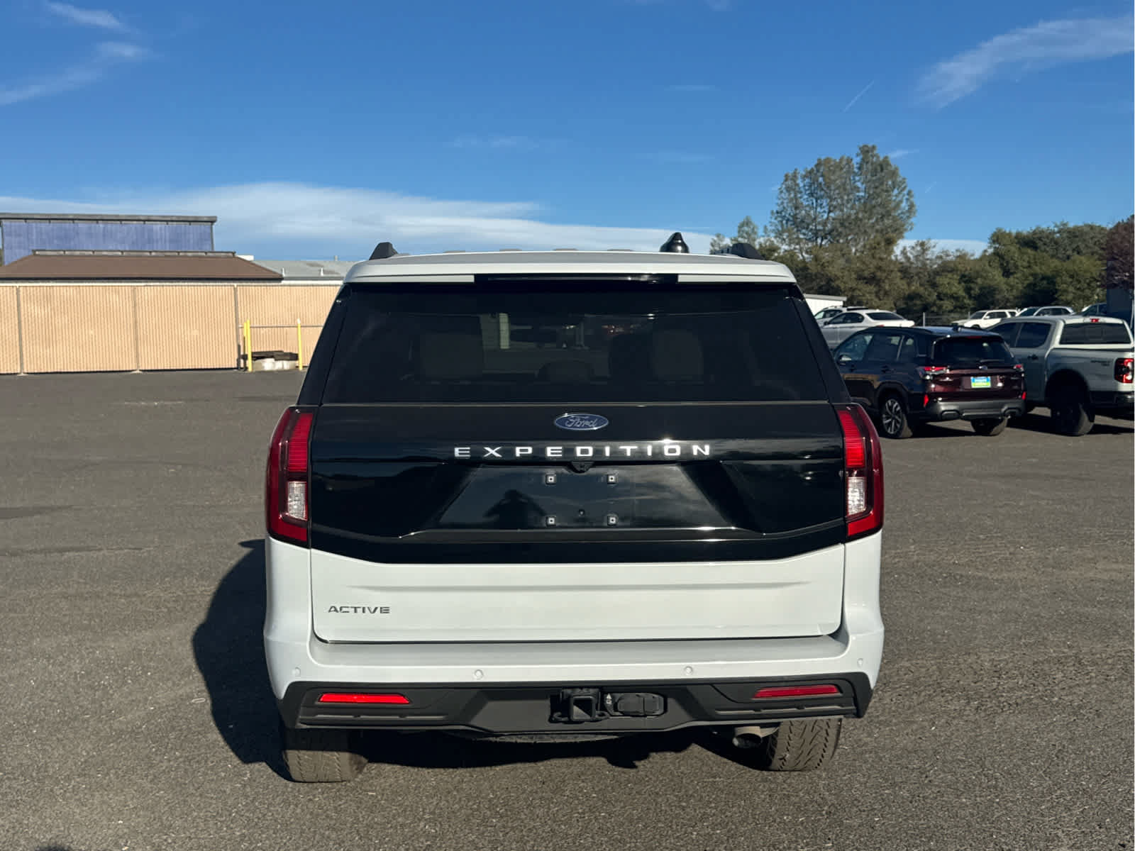 Used 2025 Ford Expedition Active AWD/4WD image 6