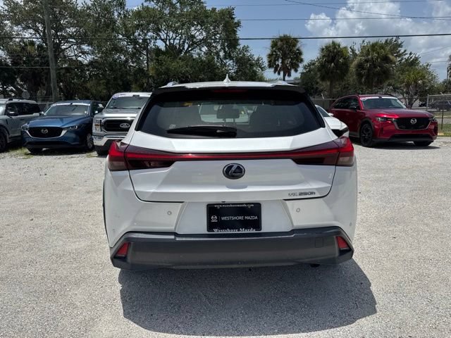 Used 2021 Lexus UX 250h w/ Premium Package AWD/4WD image 6