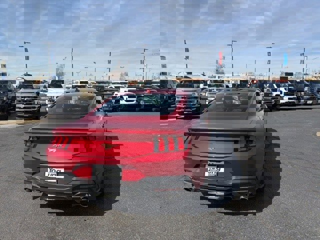 New 2024 Ford Mustang Premium image 12