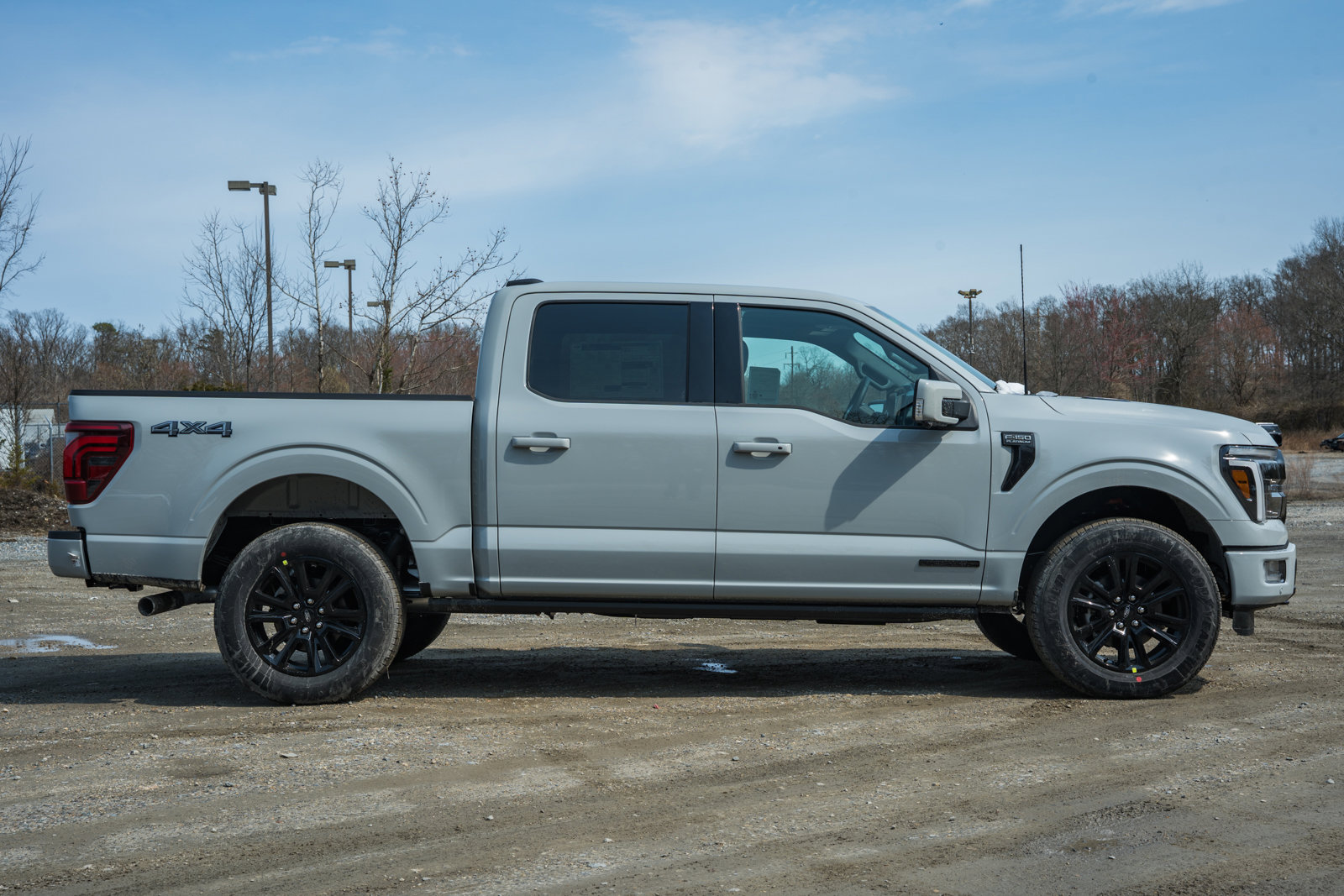 New 2026 Ford F150 Platinum image 3