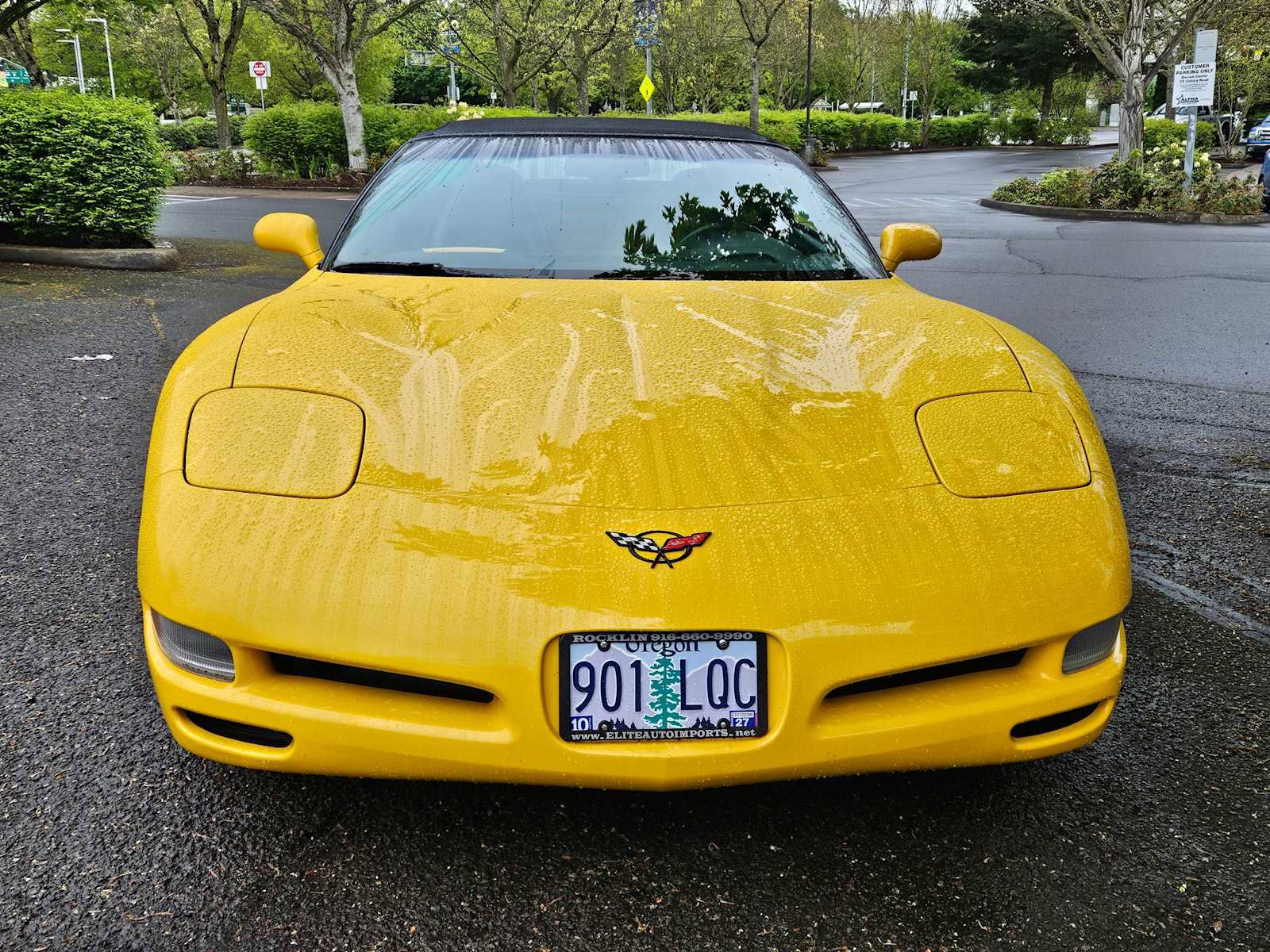 Used 2001 Chevrolet Corvette Convertible w/ Preferred Equipment Group2 RWD image 8