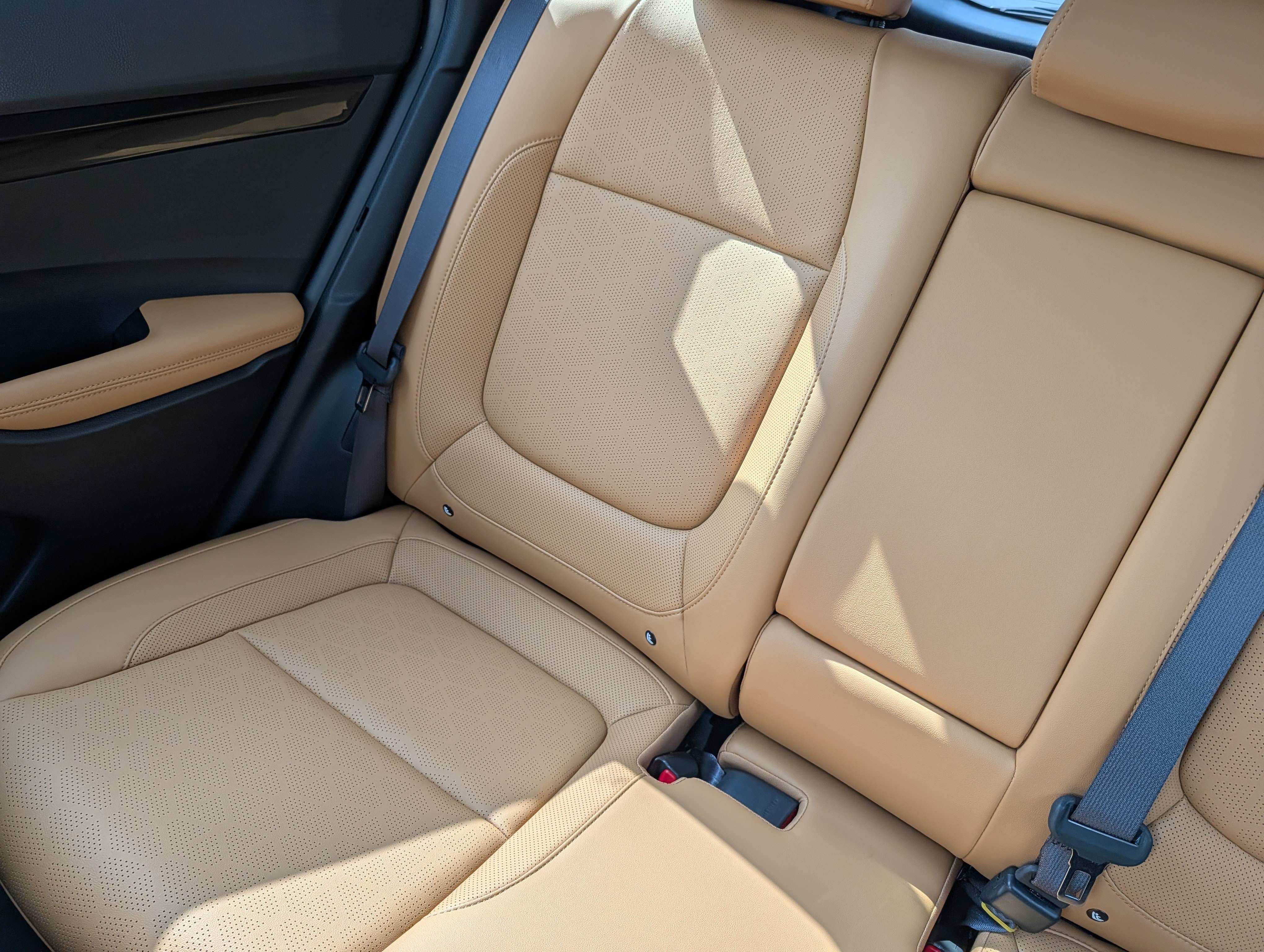 Certified 2024 Kia Seltos EX AWD/4WD image 12