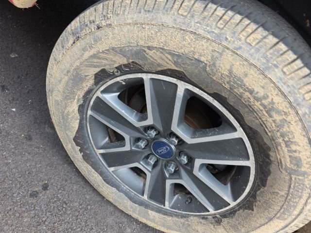 Used 2016 Ford F150 XLT w/ Equipment Group 301A Mid image 16