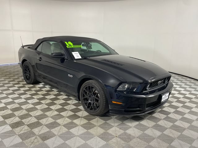 Used 2014 Ford Mustang GT w/ Equipment Group 301A RWD image 16