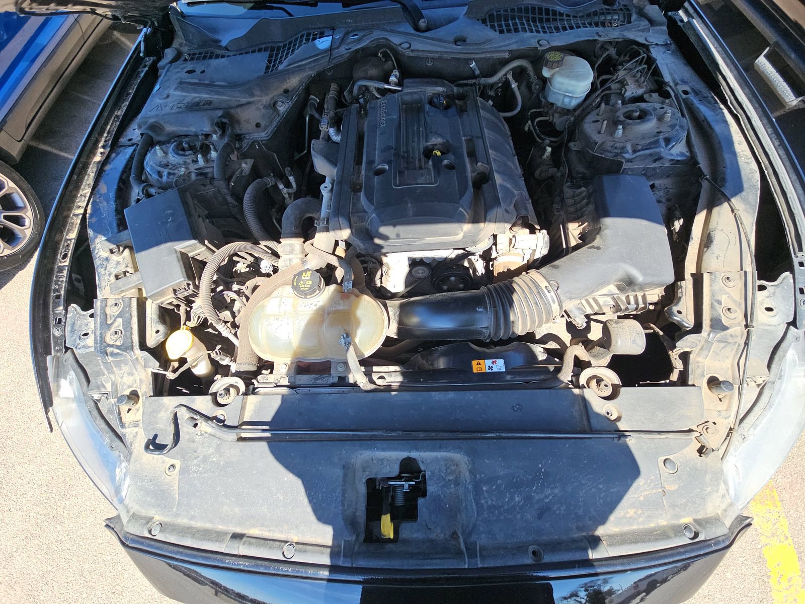 Used 2017 Ford Mustang EcoBoost image 19