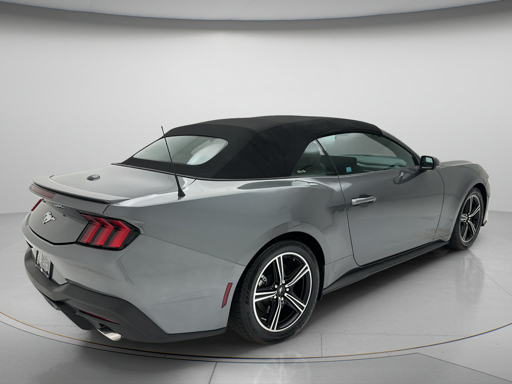 Used 2025 Ford Mustang Premium RWD image 5