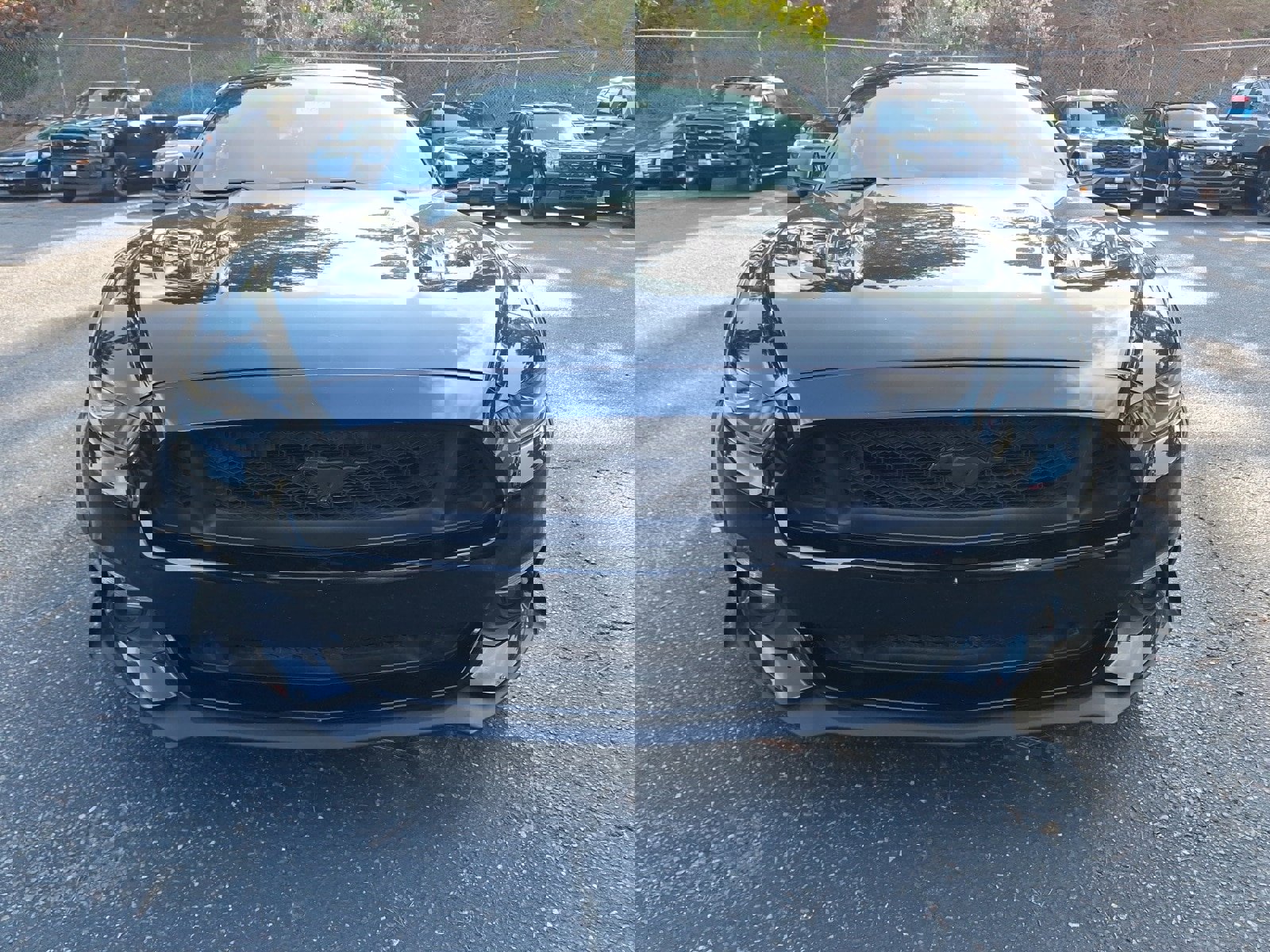 Used 2017 Ford Mustang GT image 2