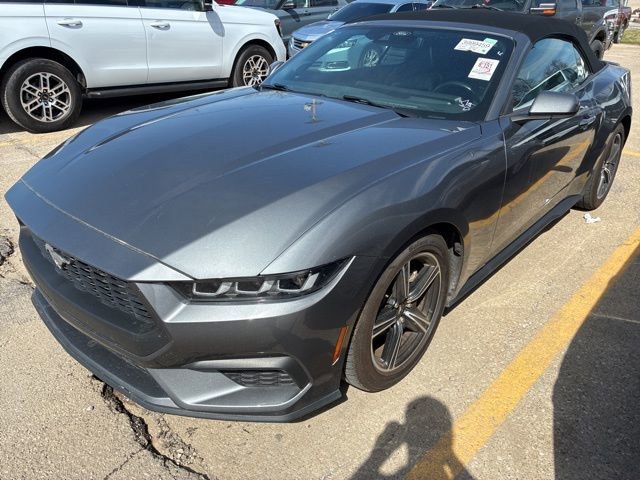 Used 2024 Ford Mustang Premium image 3