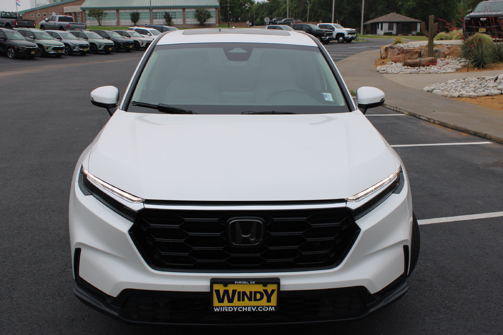 Used 2025 Honda CR-V EX-L image 3