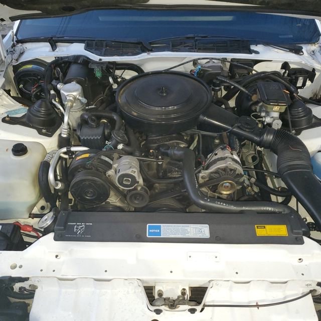 Used 1991 Pontiac Firebird Coupe RWD image 10