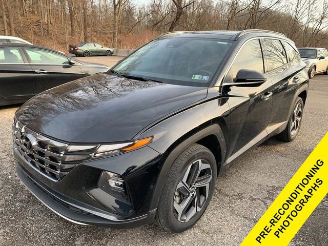 Used 2023 Hyundai Tucson Limited image 1