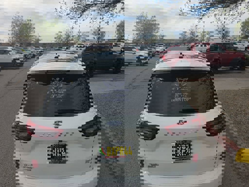 Used 2023 Ford Escape ST-Line w/ Tech Pack #1 image 6