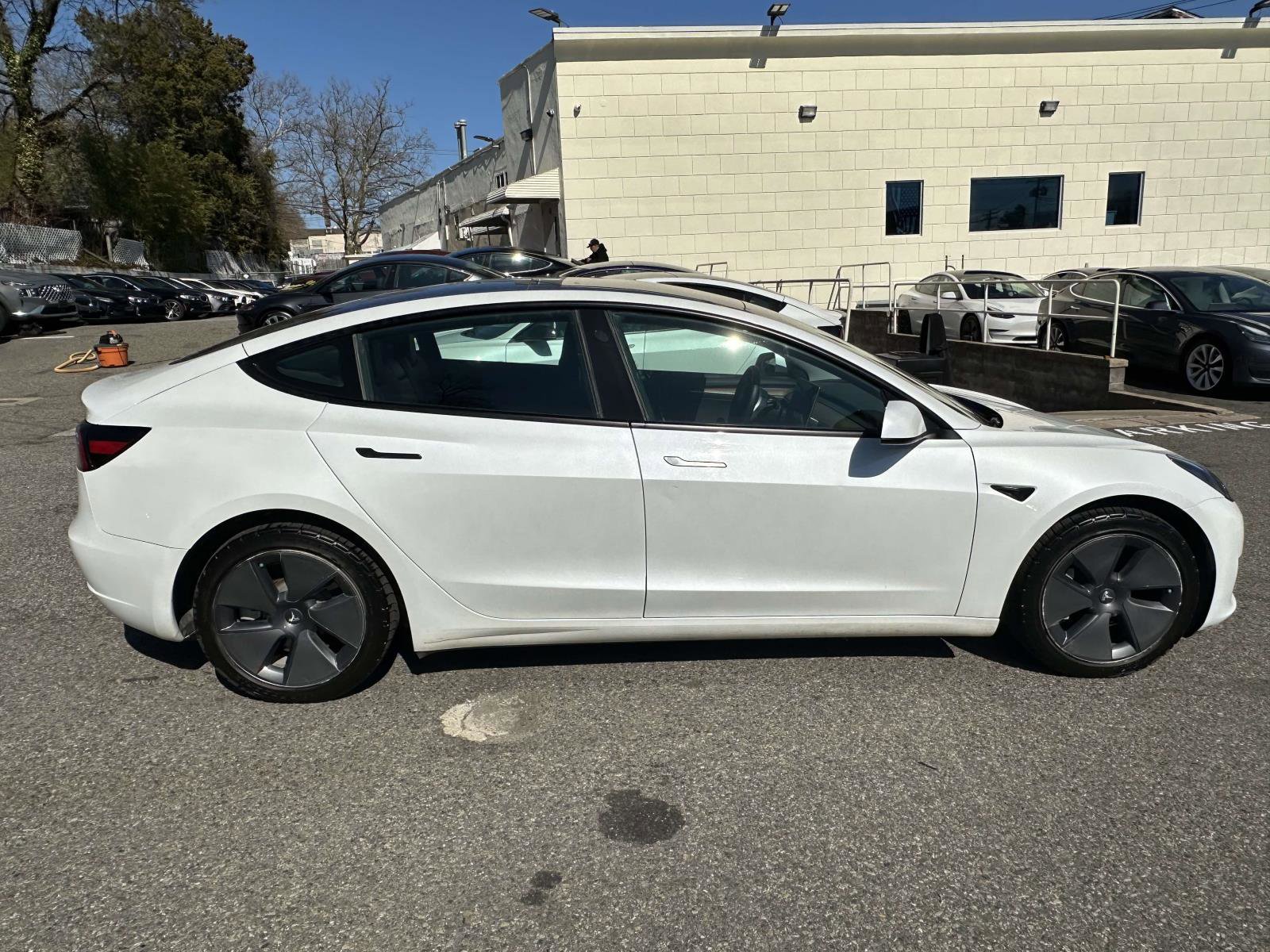 Used 2023 Tesla Model 3 Standard Range RWD image 2