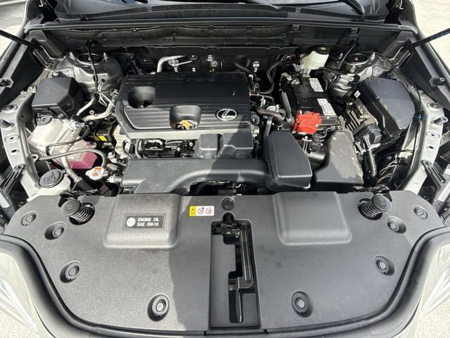 Certified 2025 Lexus NX 250 FWD w/ Cold Area Package image 27