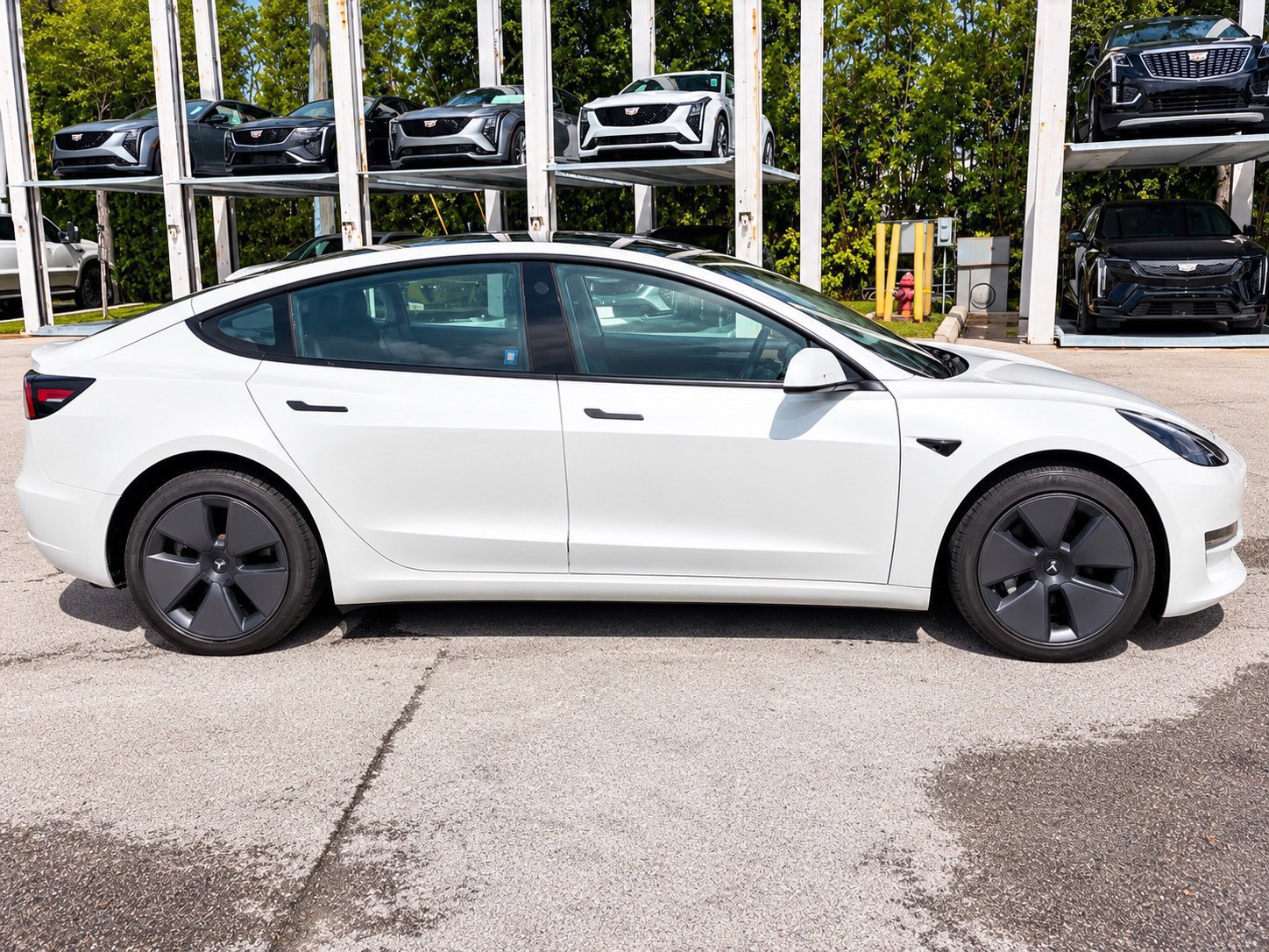 Used 2023 Tesla Model 3 Standard Range RWD image 7