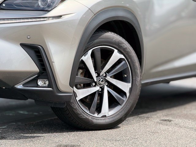 Used 2020 Lexus NX 300h AWD w/ Premium Package image 2
