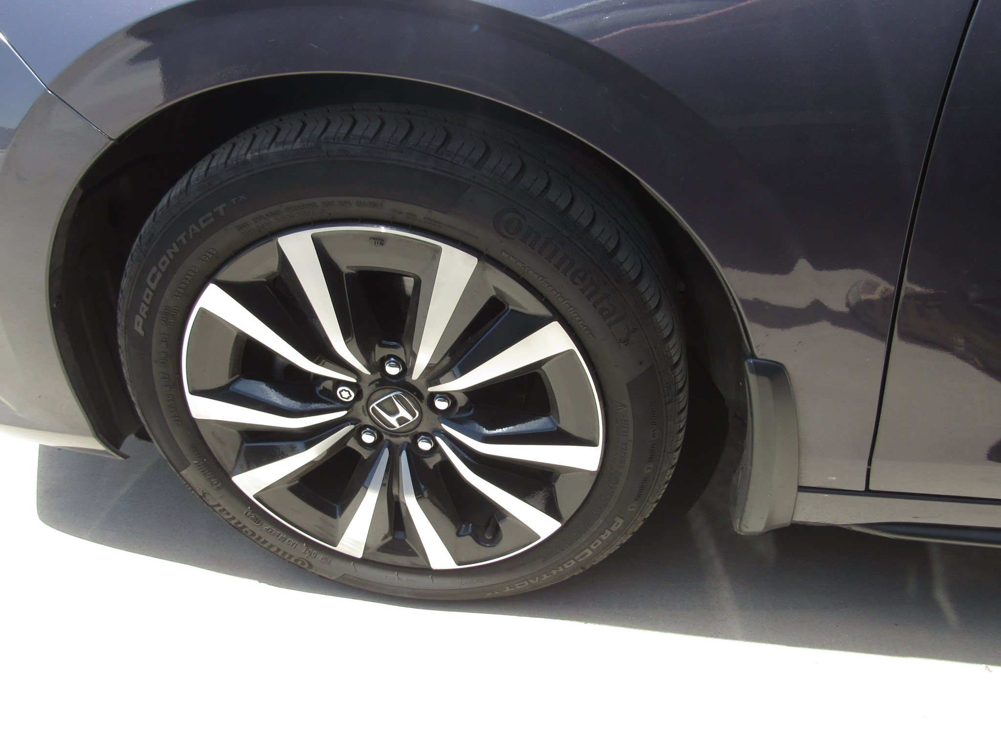 Used 2024 Honda Civic EX-L image 5