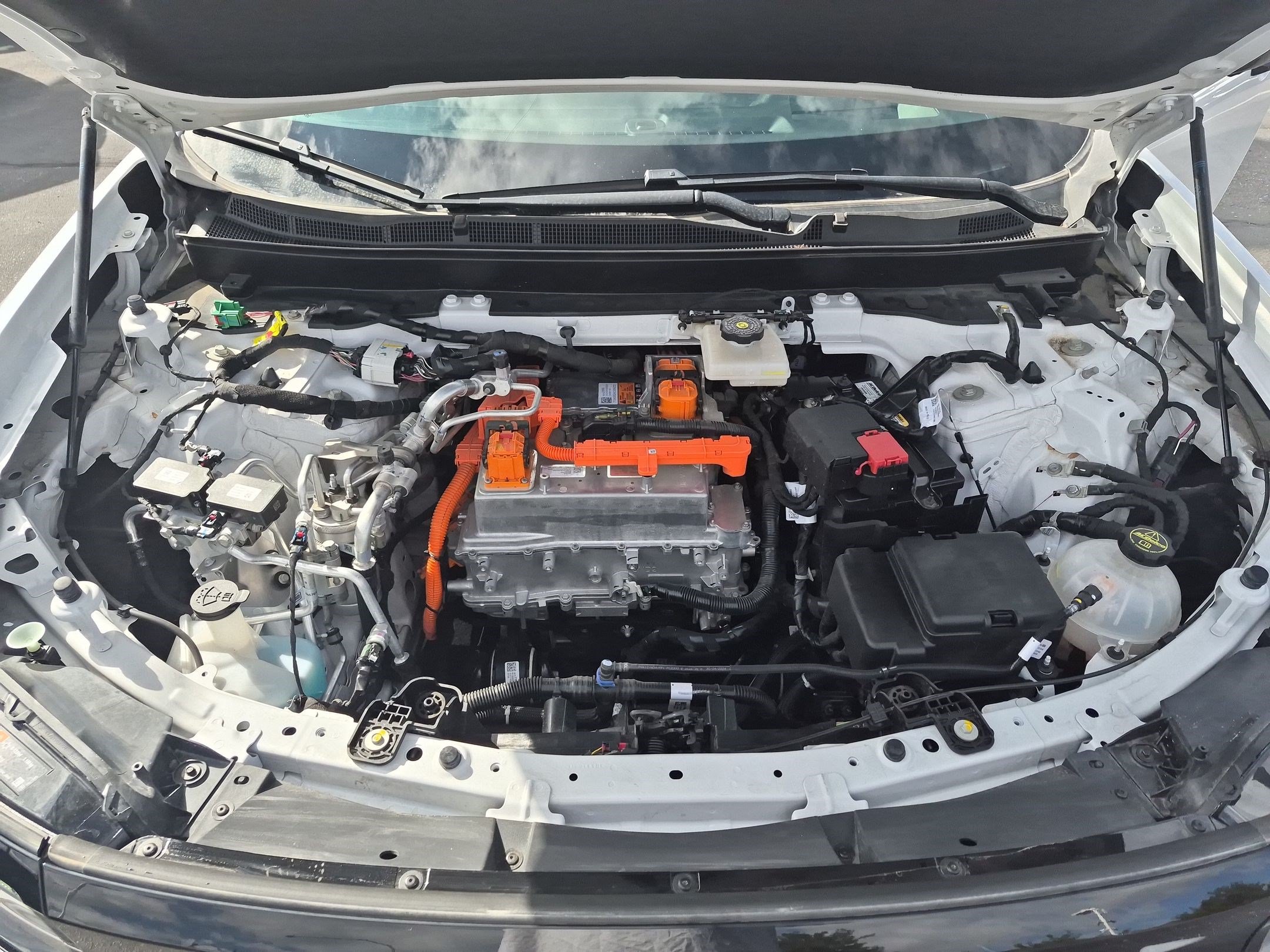 Certified 2024 Honda Prologue Elite image 33