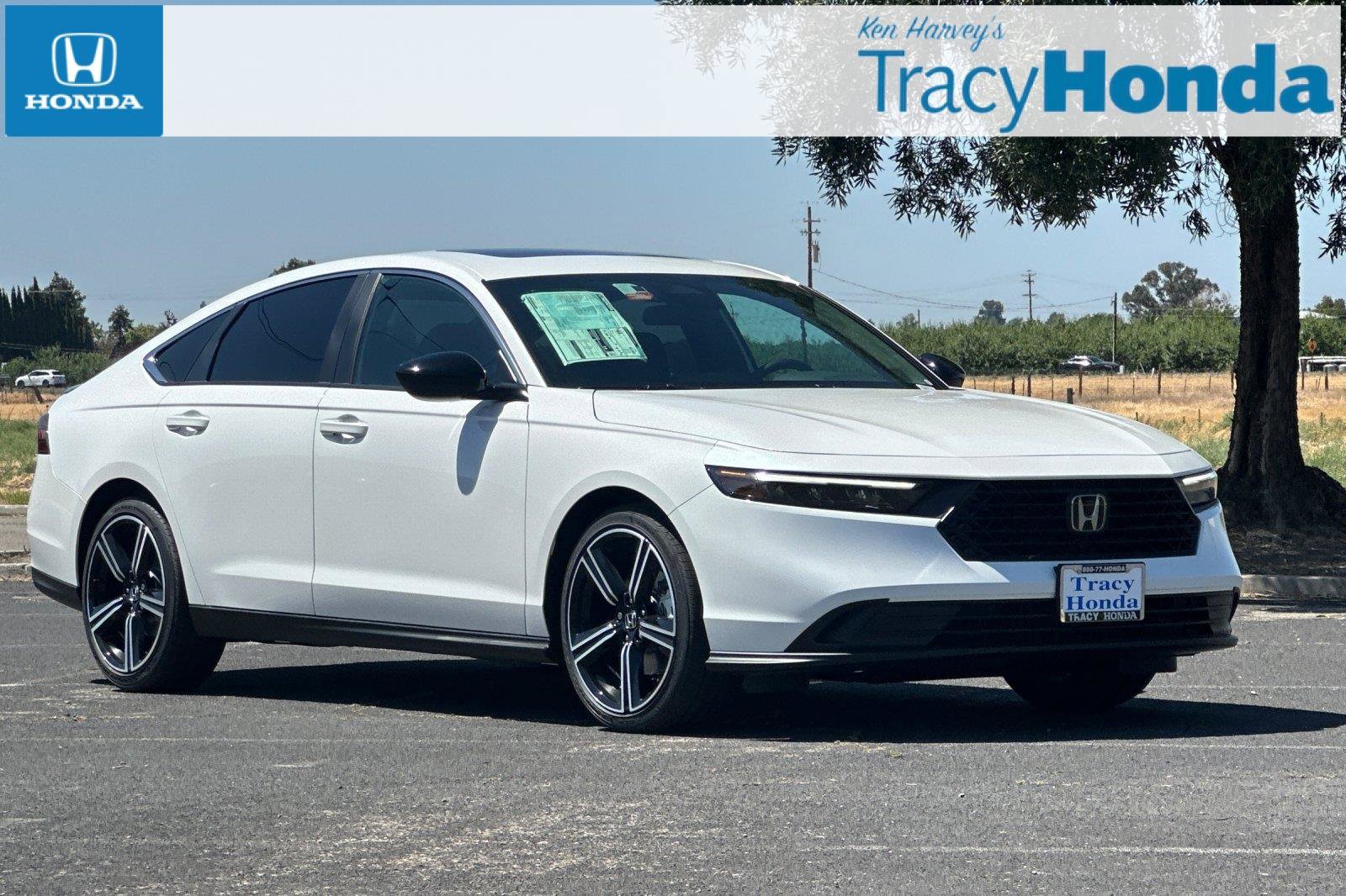 New 2025 Honda Accord Sport