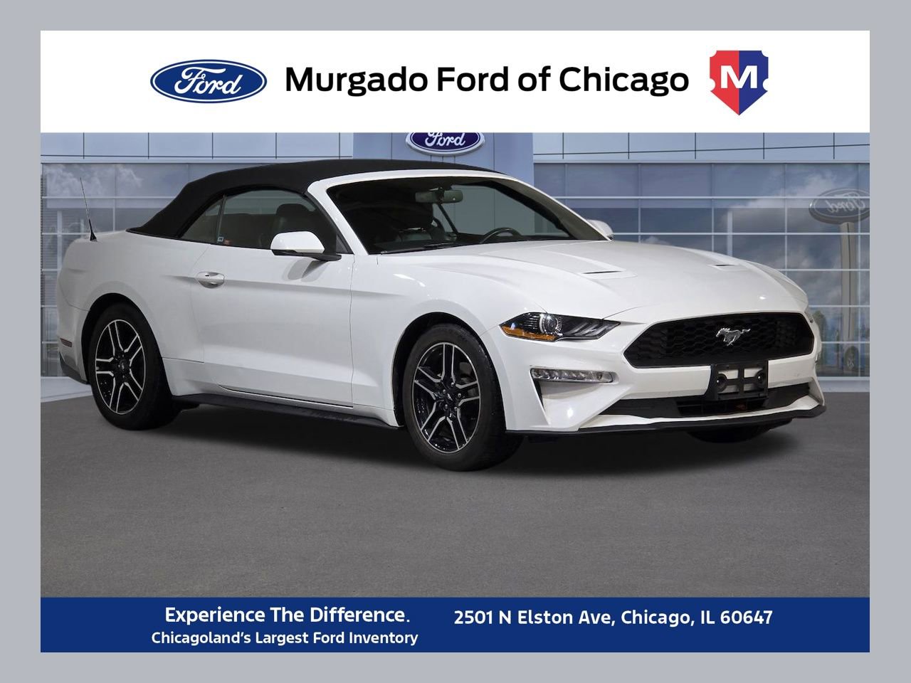 Used 2018 Ford Mustang Premium w/ Equipment Group 201A